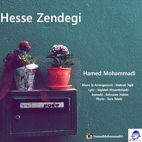 حامد محمدی حس زندگی