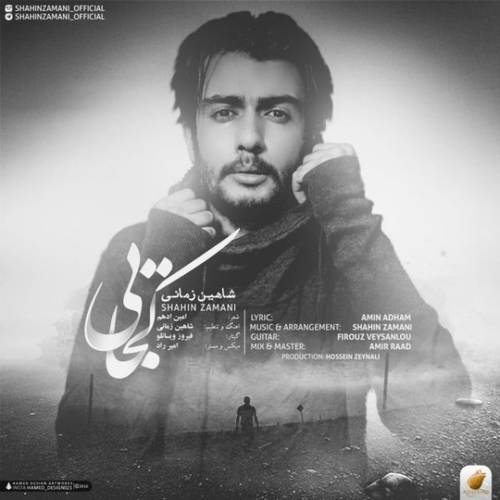 شاهین زمانی کجایی
