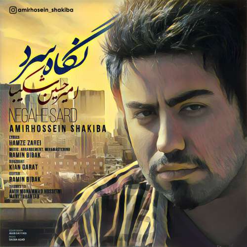 امیرحسین شکیبا نگاه سرد