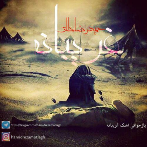 حمیدرضا مطلق غریبانه