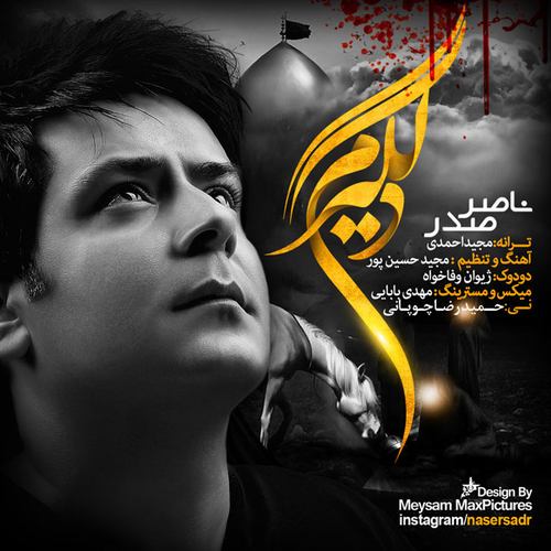 ناصر صدر دلگیرم