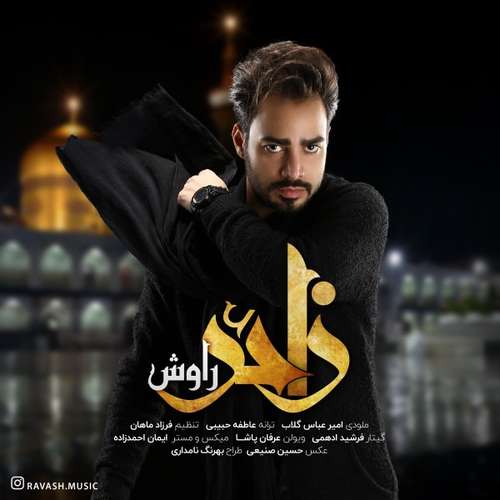 راوش زائر