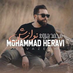 دانلود آهنگ محمد هروی با نام نوازش