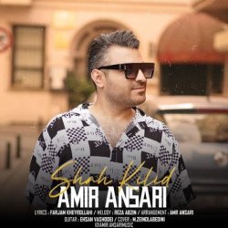 دانلود آهنگ امیر انصاری با نام شاه کلید